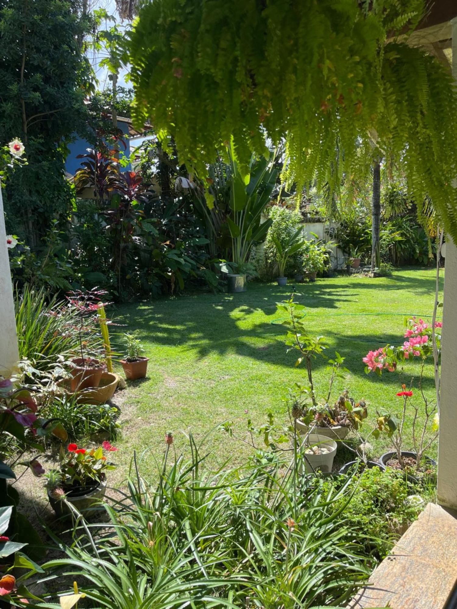 Acomodação com café da manhã  Yucca 3*